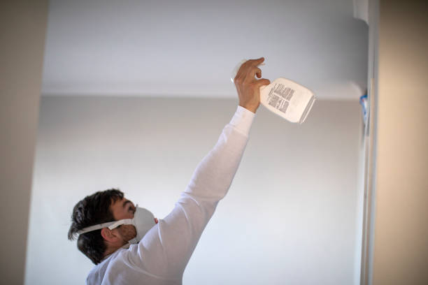 Professional Mold Remediation in Superior, NE